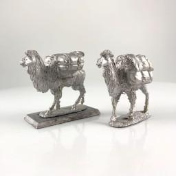RLBPS  C05 Asian Pack Camels