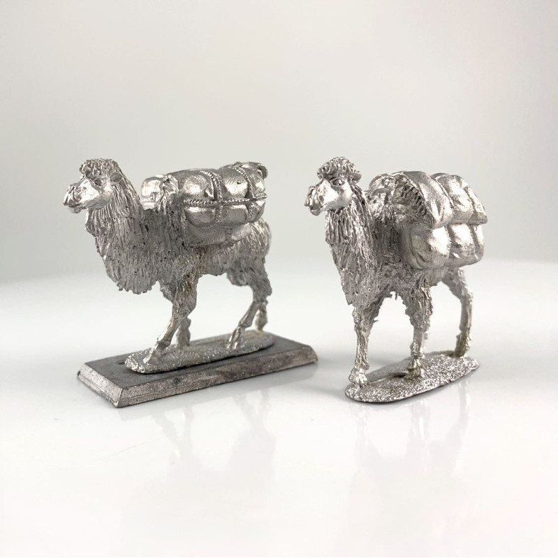 RLBPS  C05 Asian Pack Camels