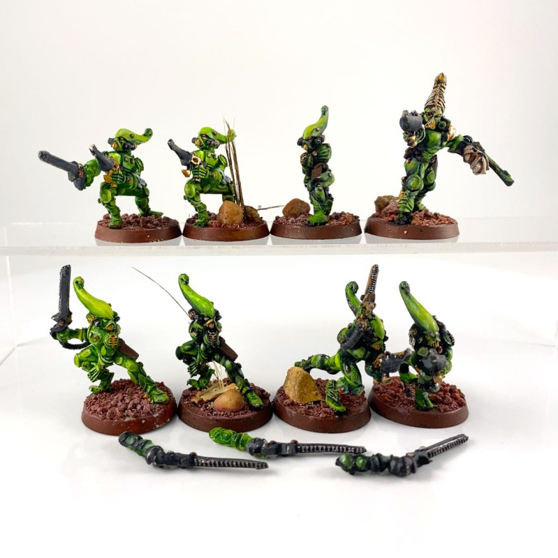 Striking scorpions incomplet