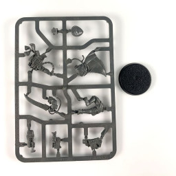 Officio prefectus commissar