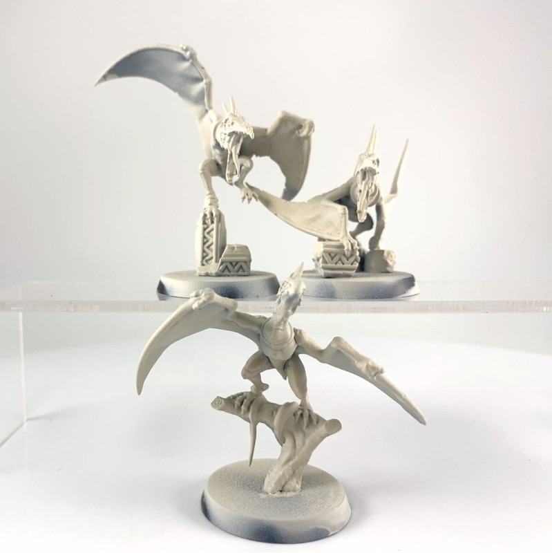 Warcry : chasseurs de Huanchi