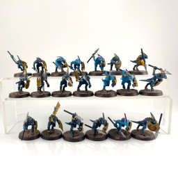 Skinks