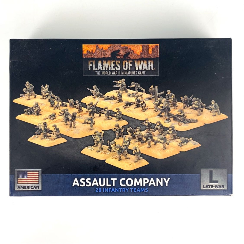 Assault Company LW