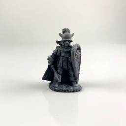 Citadel C41 (07) Guard...