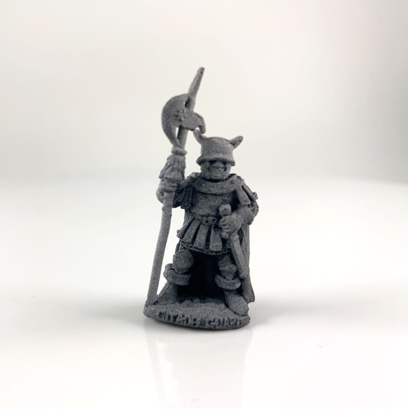 Citadel C41 (06) Citadel Guard Lone Wolf