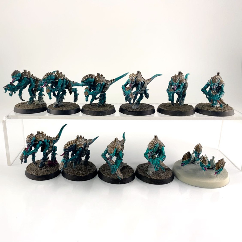 Termagants + ripper swarms