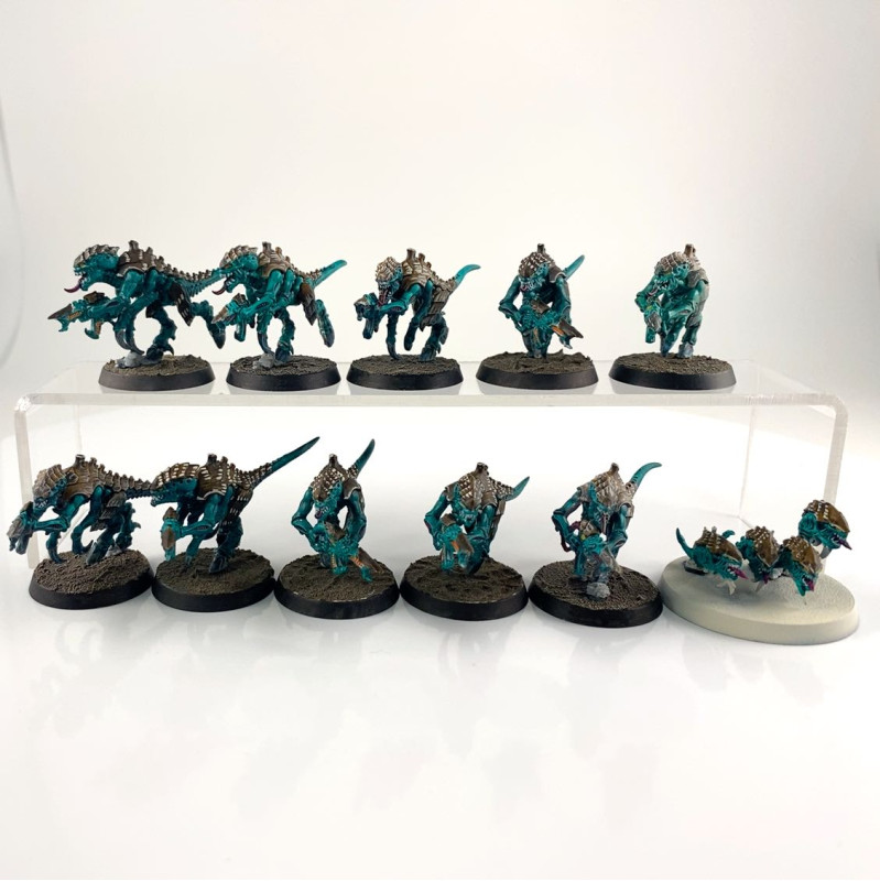 Termagants + nuée voraces