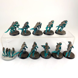 Termagants + nuée voraces