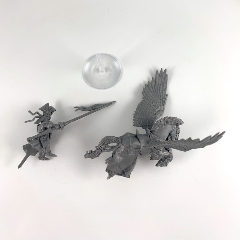 Seigneur sur Pégase Royal