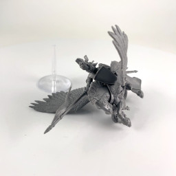 Lord on Royal Pegasus