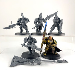 Custodian guards