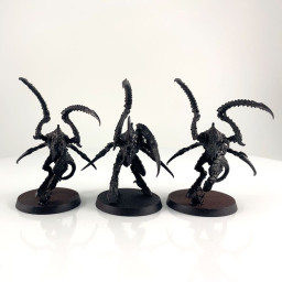 Bondisseurs de Von Ryan