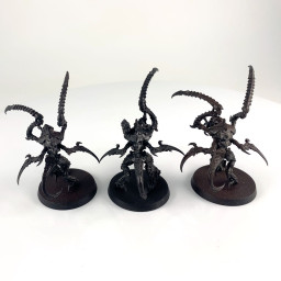 Bondisseurs de Von Ryan