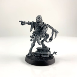Mentor Pisteur Kroot