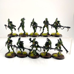Kroot Carnivore Squad