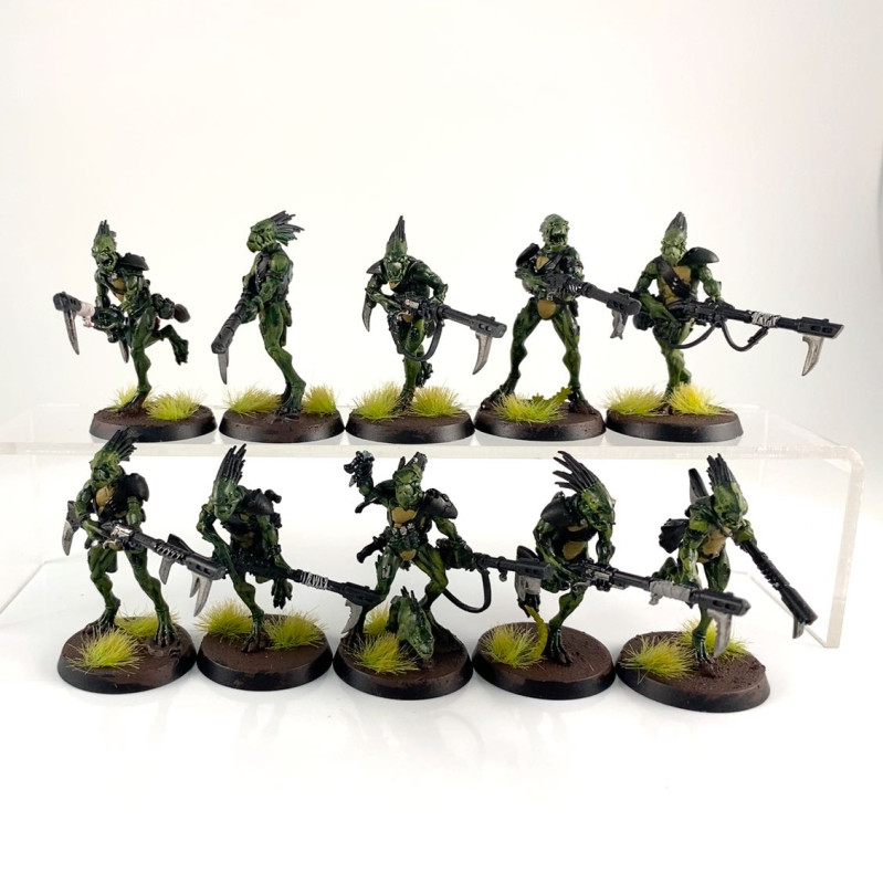 Kroot Carnivore Squad