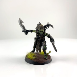 Kroot Flesh Shaper