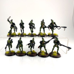 Kroot Carnivore Squad
