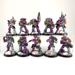 Primaris intercessors