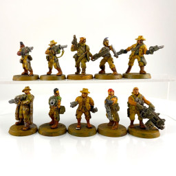 Combattants du désert