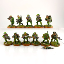 Combattants des jungles