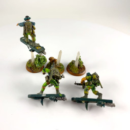 Combattants des jungles