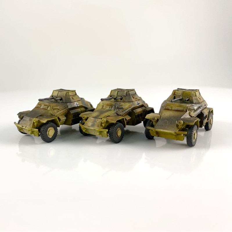 Sd Kfz 221 and 222 SS Scout Troop