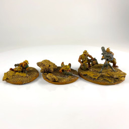 Combattants du désert