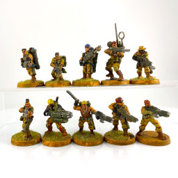 Combattants du désert