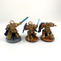 Bladeguard veterans