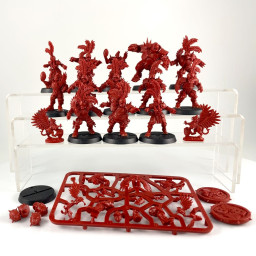 Imperial Nobility team