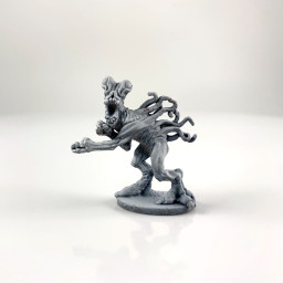 6006 (c) Mxomycetes Duke of...