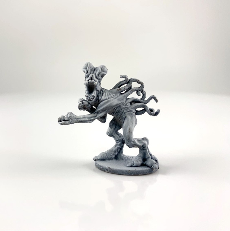 6006 (c) Mxomycetes Duke of the Mire