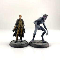 Remus Lupin and Werewolf Form