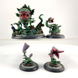 BMG: Franck & the plants