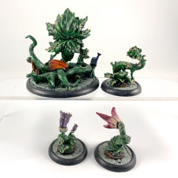 BMG: Franck & the plants