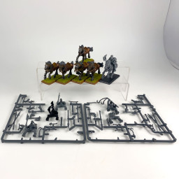 Cavaliers maraudeurs