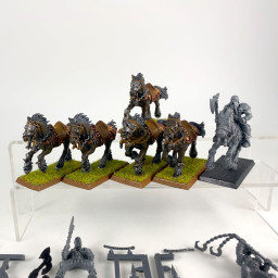 Cavaliers maraudeurs