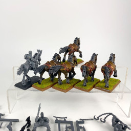 Cavaliers maraudeurs