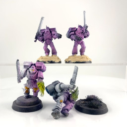 Vanguard Veteran Squad