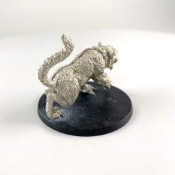 Center Stage Caterwaul