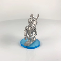 Horse rider saluting