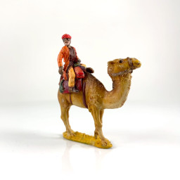 Homme sur Dromadaire