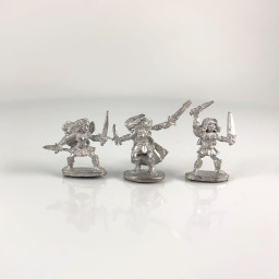 Mini Fées Guerrières