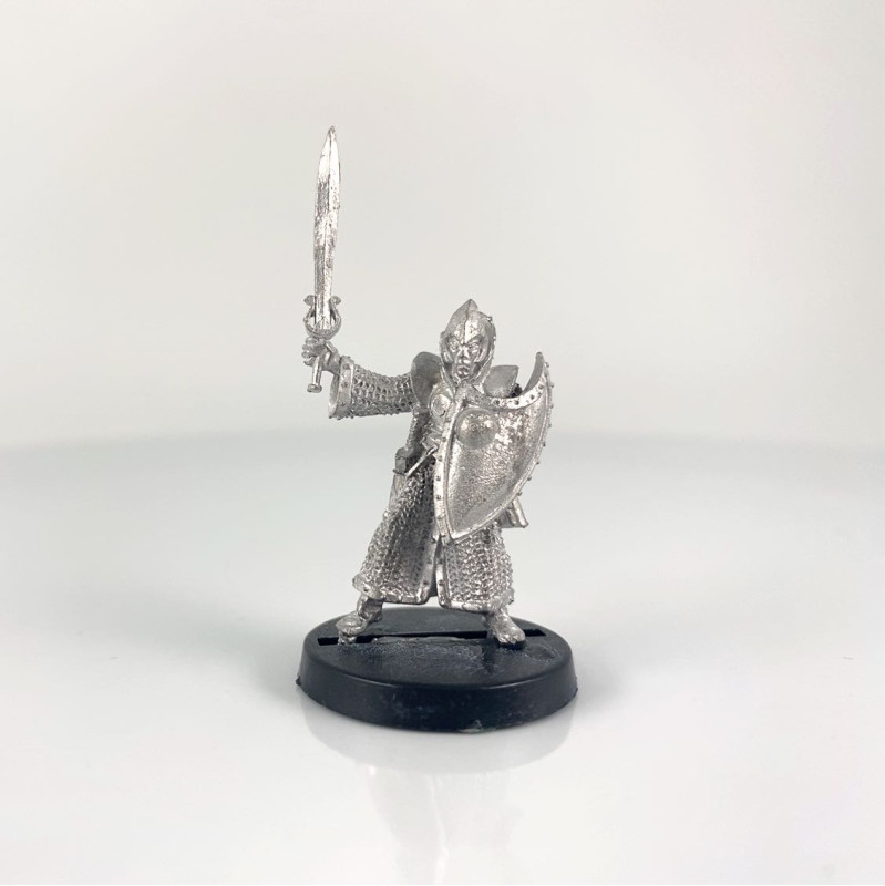 02-006 Elf Swordsmen 