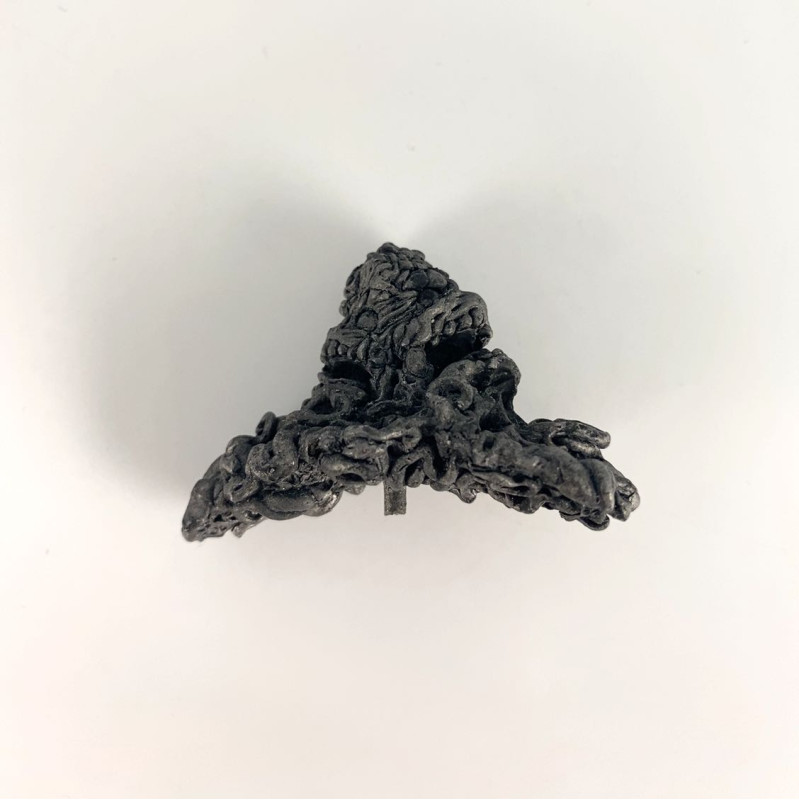 6006 (g) The Floating Death (Flying Polyp)