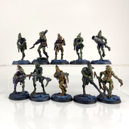 Kroot Carnivore Squad