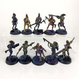 Kroot Carnivore Squad