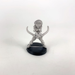 02-310b Elf Blade Maiden...