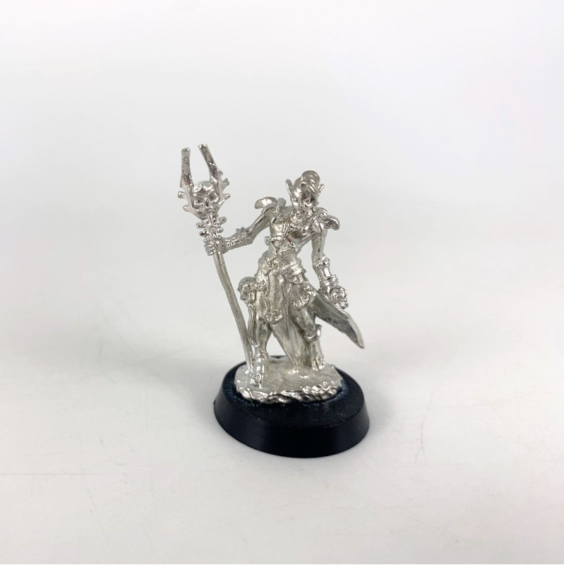 03247 - Nanuranidd Dark Elf Sorcerer